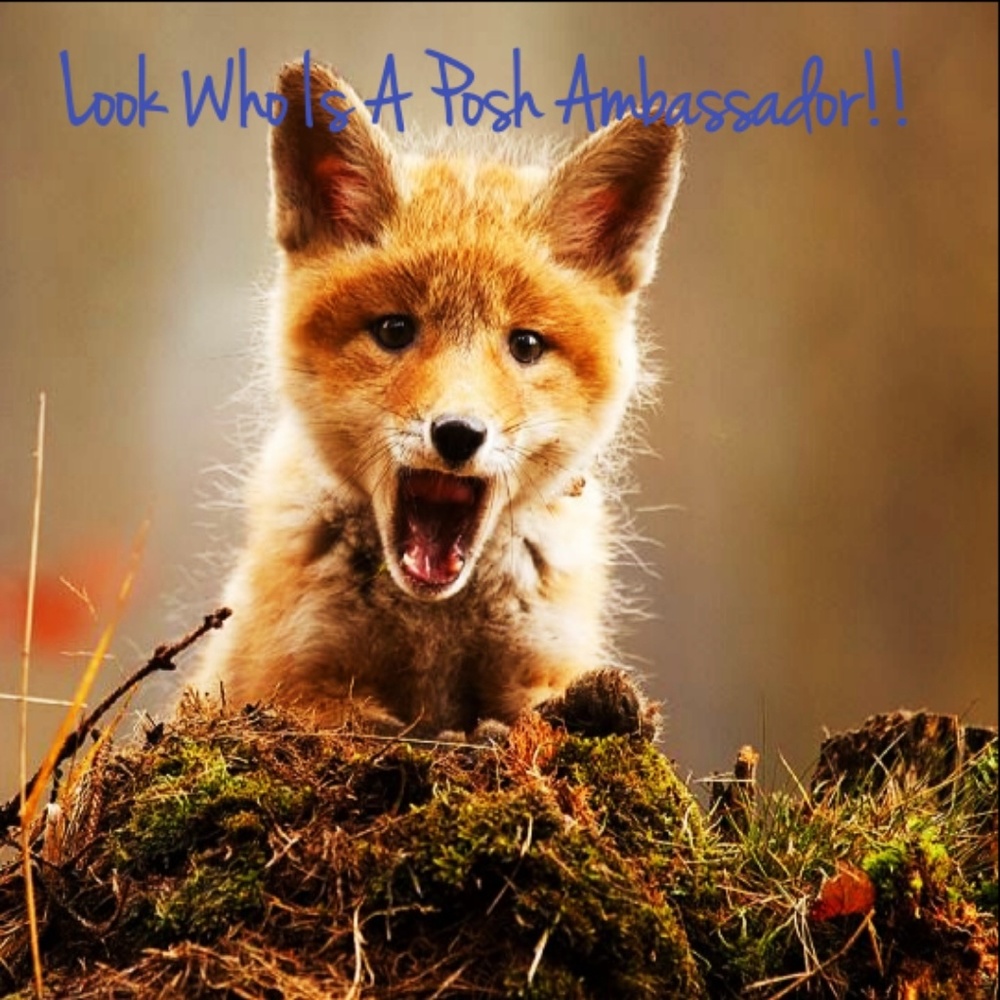 THANK YOU ALL SO MUCH!!